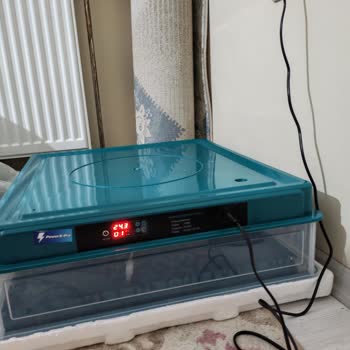 Trendyol’da Arızalı Kuluçka Makinesi İadesi Red Ve Yanıltıcı Servis