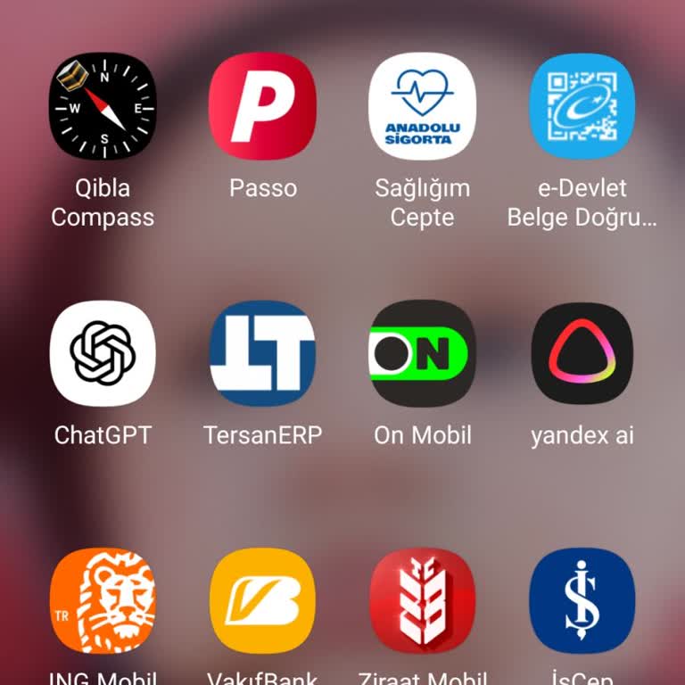 Kimlik Doğrulama Ve Şifre Sıfırlama Sorunu Nedeniyle Kredi Ödemesi Yapılamıyor