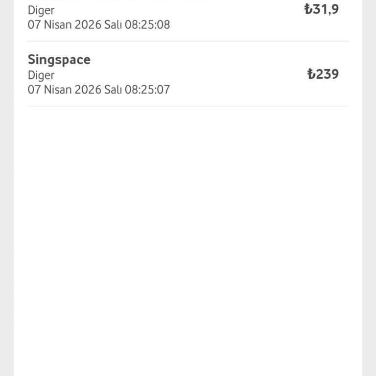 İzinsiz Singspace Ücretleri İçin Geri Ödeme Talebi
