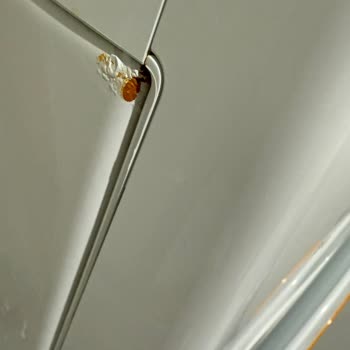 Miele Çamaşır Makinesindeki Paslanma Ve Parça Temin Edilememe: Yeni Makine Talebi