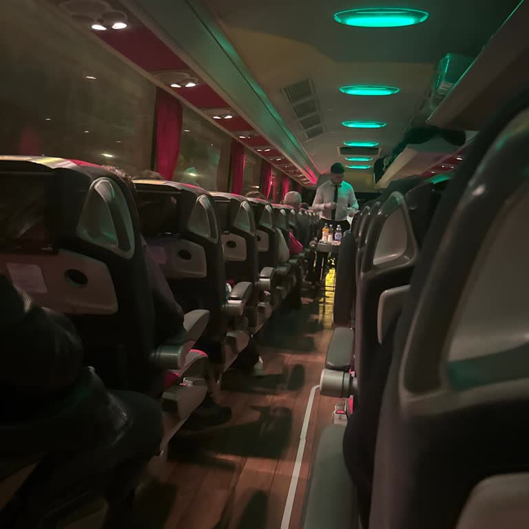 Bozuk Koltuk, Sarhoş Yolcular Ve Dikkatsiz Personel