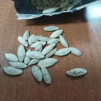 Kabak Çekirdeğinde Küf Sorunu Ve İade Talebi