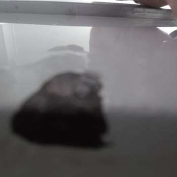 Profilo Çamaşır Makinesinde Boya Patlaması Ve Ücretsiz Parça Değişimi Talebi