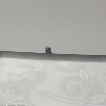 Profilo Çamaşır Makinesinde Boya Patlaması Ve Ücretsiz Parça Değişimi Talebi