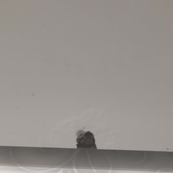 Profilo Çamaşır Makinesinde Boya Patlaması Ve Ücretsiz Parça Değişimi Talebi