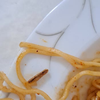 İndomie Ürünün İçinde Kurt Bulunması Ve Cevapsız Şikayet