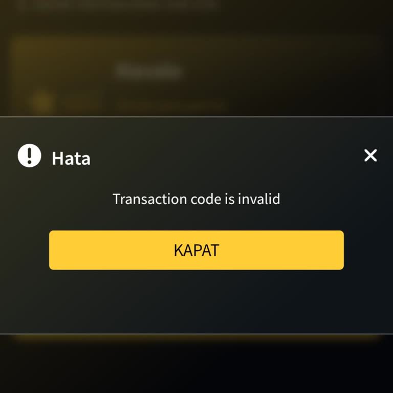 Holiganbet'te 5.000 TL Yatırdım Hesabımda Görünmedi