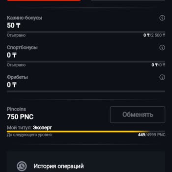 Пин Ап Не Могу Вывести Деньги, блокирует вывод из-за «второго аккаунта», Не могу пройти верификацию