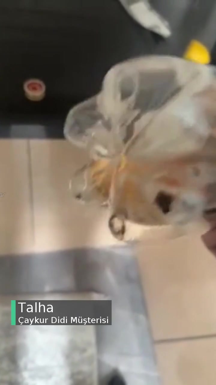 Çaykur Didi Dibindeki Tortular! videonun kapak resmi