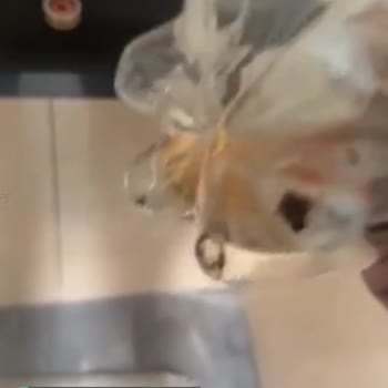 Çaykur Didi Dibindeki Tortular!