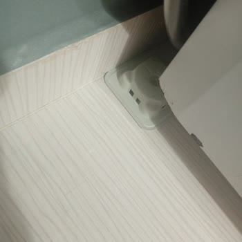 Detan Karınca Yemi Etkisiz, Karıncalar Artarak Sorunu Büyüttü
