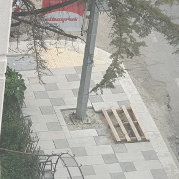 Türk Telekom On Gün Süren İnternet Kesintisi Ve Telafi Talebi