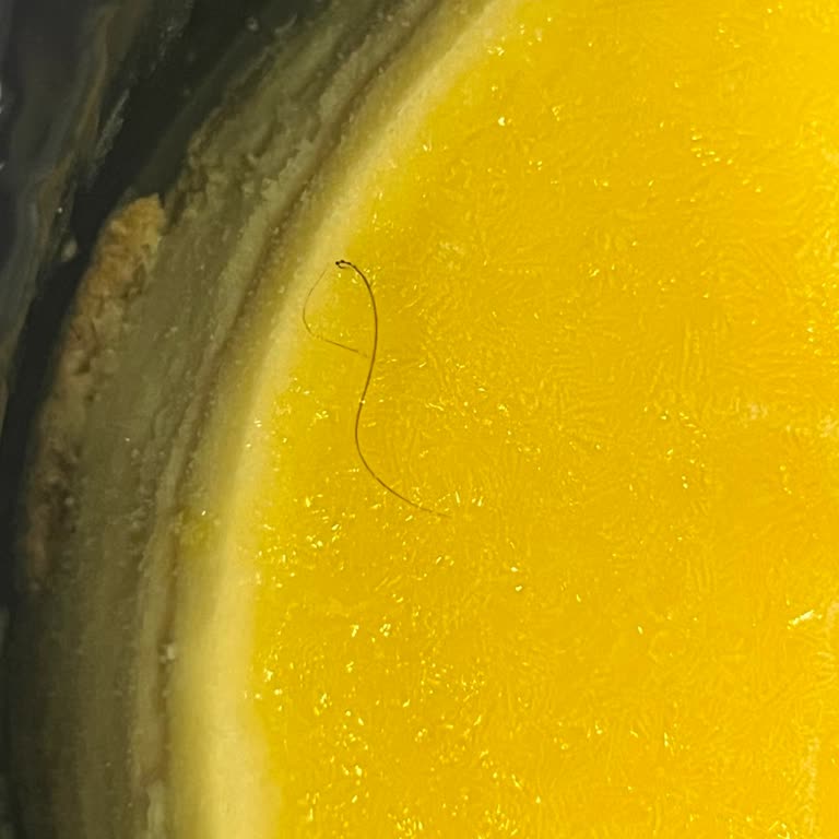 BİM Cheesecake Üzerindeki Kılı İçin Gıda Güvenliği İncelemesi Talep Ediyorum