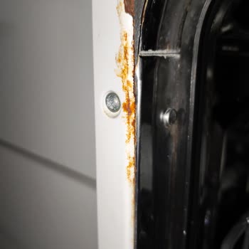 Vestel Bulaşık Makinesinde Kısa Sürede Paslanma Ve Kaba Servis Yaklaşımı