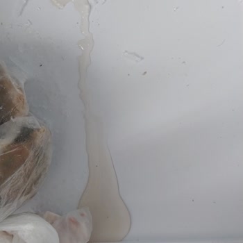 Kırmızı Uyarı Işığıyla Dondurucu Eridi Garanti Kapsamında Servis Yanıt Vermedi