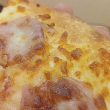 Sucukbol Pizza İçinde Kıl Olması Hijyen İhlali Ve İade Talebi