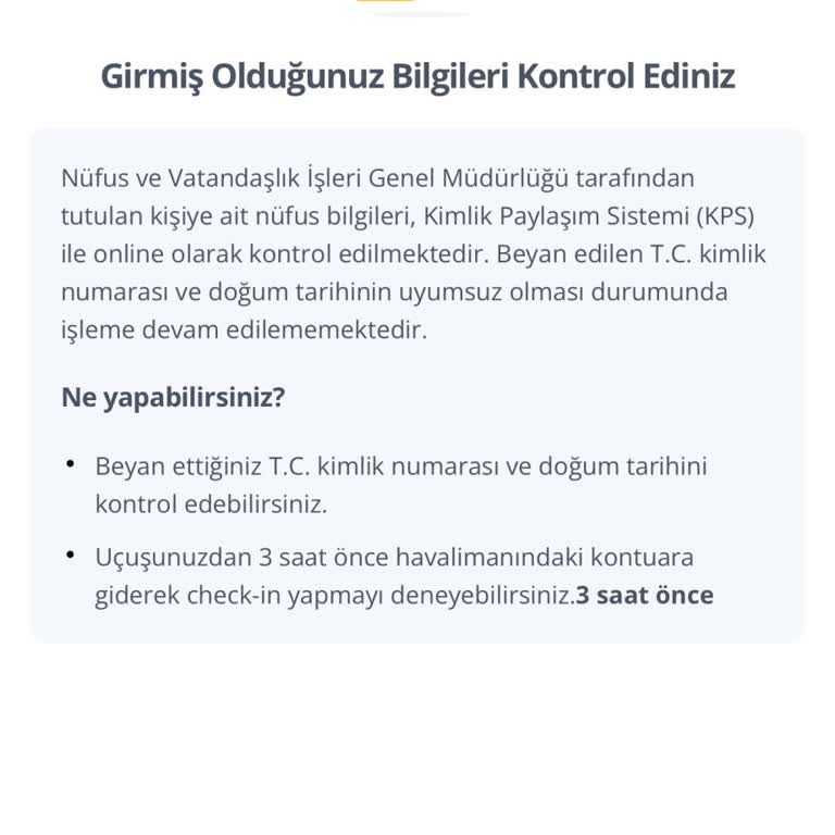 Online Checkin Hatası Uçuş Kaçırma Riski Ve Stres Yarattı