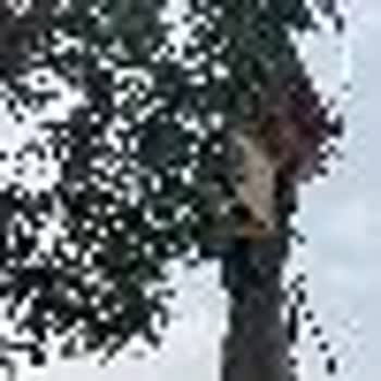 Patlamış Elektrik Direği Nedeniyle Uzun Kesinti Ve TEDAŞ’tan Acil Müdahale Talebi