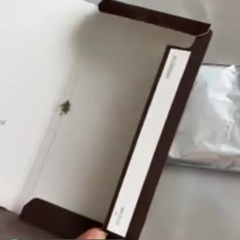 File Harras Bitter Çikolatanın İçinden Çıkan Böcek!