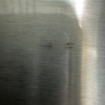 Tekrarlanan Kapak Arızaları Ve Garanti Dışı Ücretli Değişim Talebi