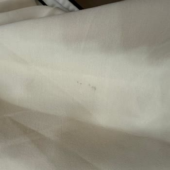 Oysho Giyim Kullanılmış ve Kusurlu Ceket Gönderimi: Kalite Kontrol Eksikliği ve Hızlı İade Talebi