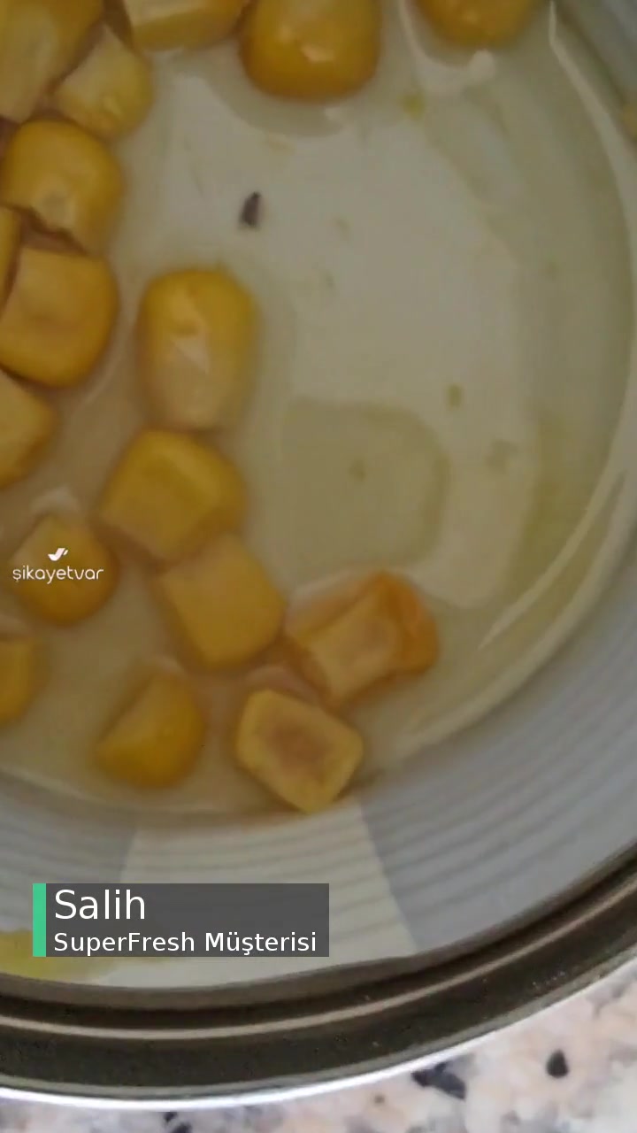 Superfresh Konserve Mısırdan Sinek Çıktı videonun kapak resmi