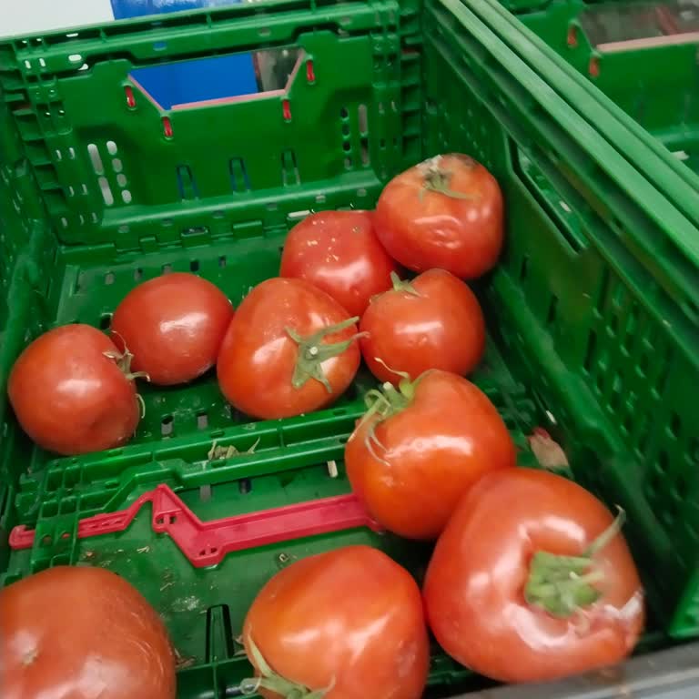 Küçükçekmece BİM'de Çürük Ürün Satışı ve Hijyen Sorunu