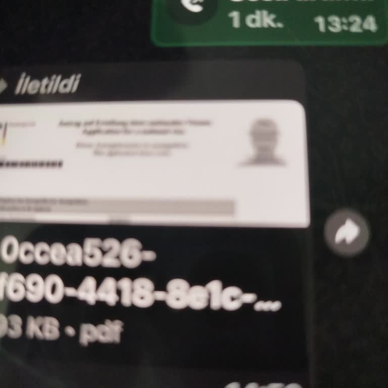 iDATA Termin Blockiert Trotz Aufgehobenem Einreiseverbot 2026