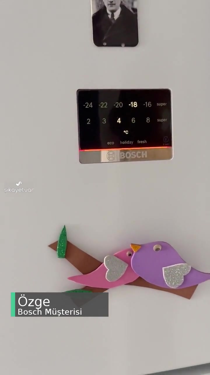 Bosch Buzdolabı Soğutma Yapmıyor videonun kapak resmi