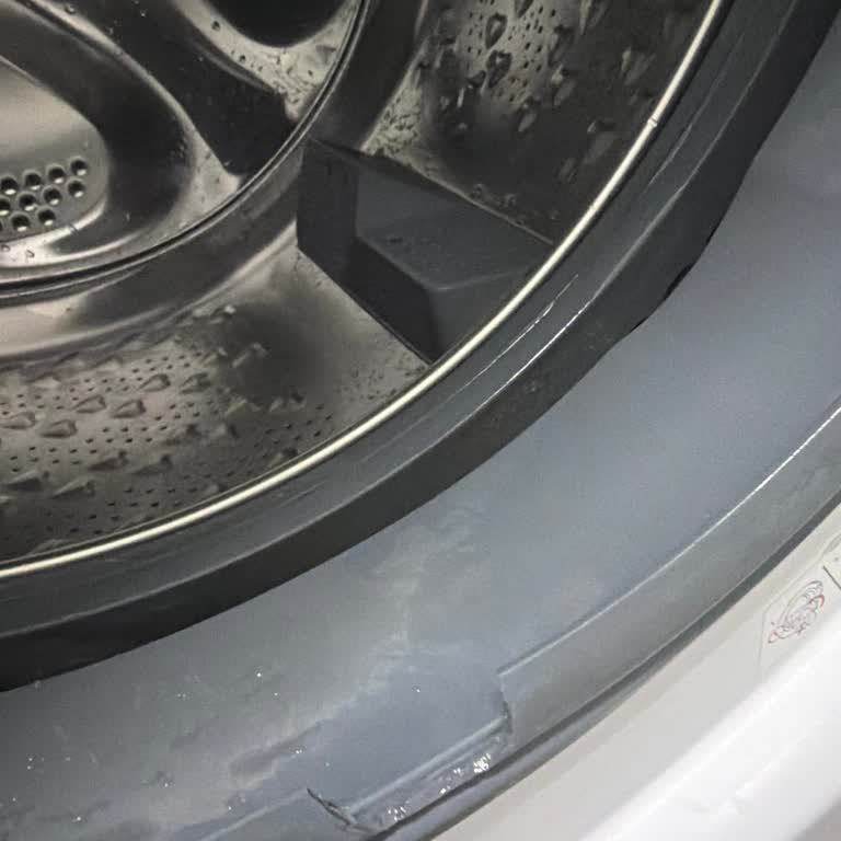 Arçelik Çamaşır Makinesinde Yırtılan Kapanış Lastiği Ve Garanti Reddi