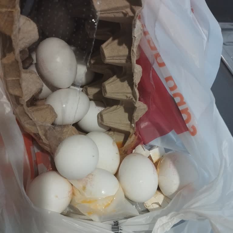 Kırık Ve Dökülmüş Yumurtalar Teslim Edildi