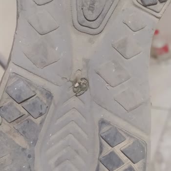 Lumberjack Spor Ayakkabısının Kısa Sürede Yırtılması Ve Üretim Hatası Reddi