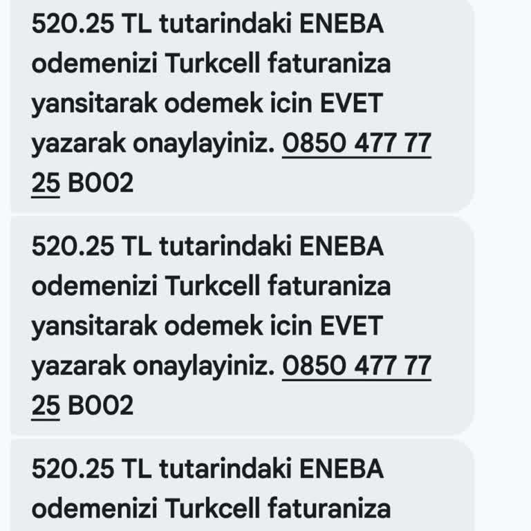Turkcell Üzerinden Yetkisiz Eneba İşlemlerinin İptali Ve Soruşturma Talebi