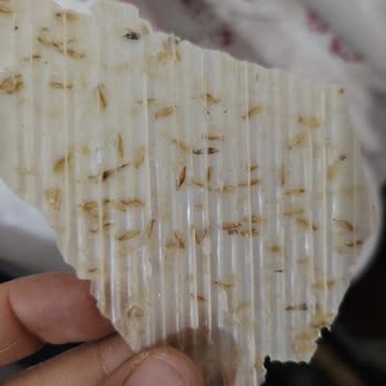 Satın Alınan Tarhana Ürününün Bayat Çıkması ve Ücret İadesi Talebi