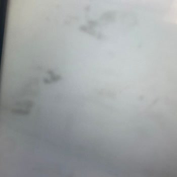 Vestel TV'de Ekran Sorunları Ve Mağaza Personelinin Kaba Tutumu