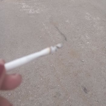 Winston Slender Blue Sigara Paketlerinde Boş Dallar Ve Odunsu Çöp Parçaları