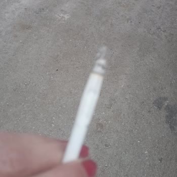 Winston Slender Blue Sigara Paketlerinde Boş Dallar Ve Odunsu Çöp Parçaları