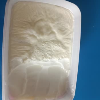 Migros Tava Yoğurdunda Plastik Kokusuyla Karşılaşılan Sağlık Endişesi Ve İade Talebi