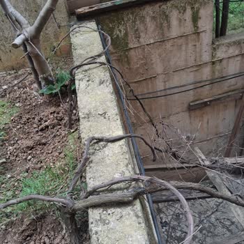 İzinsiz Fiber Kablo Montajı Ve Mülk İhlali