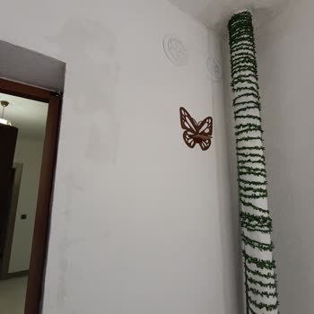 Üst Komşunun İzinsiz Ağaç Dikimi Ve Çöp Atması İle Balkon Sızıntısı Sorunu