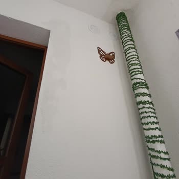 Üst Komşunun İzinsiz Ağaç Dikimi Ve Çöp Atması İle Balkon Sızıntısı Sorunu