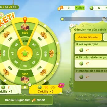 Çark Etkinliği Sonrası Çip Kaybı Ve Ödül Sorunu