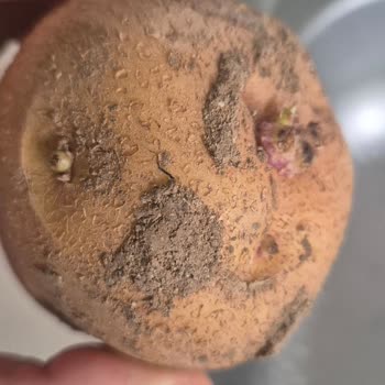 Bozuk Ve Süresi Geçmiş Gıda Ürünleri Nedeniyle Sağlık Endişesi