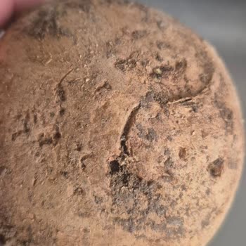 Bozuk Ve Süresi Geçmiş Gıda Ürünleri Nedeniyle Sağlık Endişesi