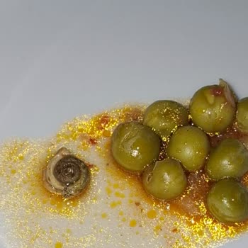 Tamek Bezelye Konservesinde Salyangoz Bulunması Gıda Güvenliği Ve Hijyen İhlali