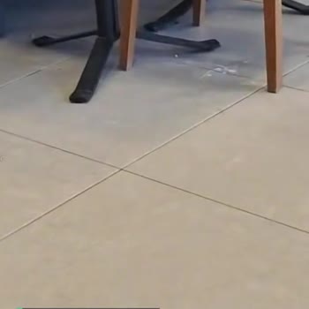Domino's Pizza Silivri Şubesi Pislikte Zirveye Mi Oynuyor Acaba?