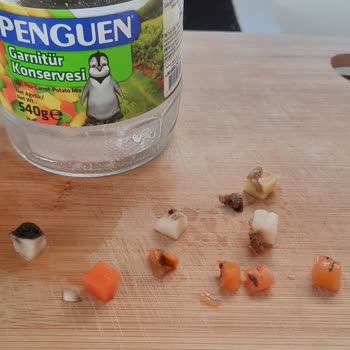 Penguen Garnitür Konservesinde Bozulmuş Sebzeler Bulundu, Gıda Güvenliği Şikayeti