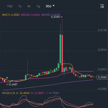VANRY/TRY Paritesinde Midas Ve Binance Arasındaki Fiyat Farkı Nedeniyle Zararı Düzeltme Talebi
