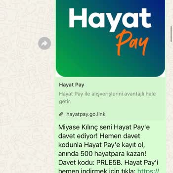 Hayat Pay Arkadaşını Davet Et Kampanyasında 500 Puanım Yüklenmedi