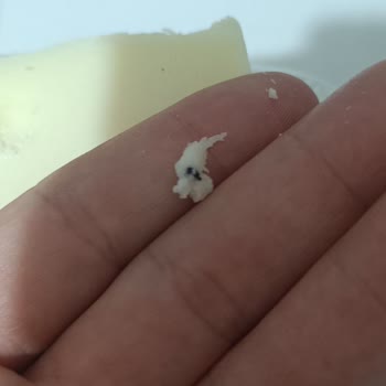 Teksüt Kaşar Peynirinde Sert Taş Parçası Bulundu